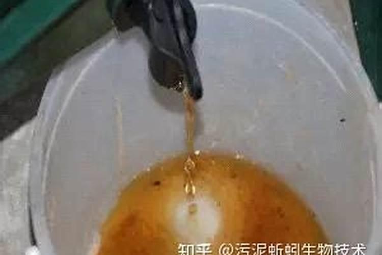 叶面肥对蚯蚓有没有妨碍？