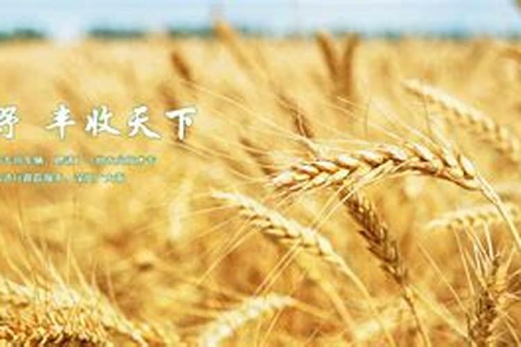 山东金科利农抗性杂草防治技术有限公司怎么样？