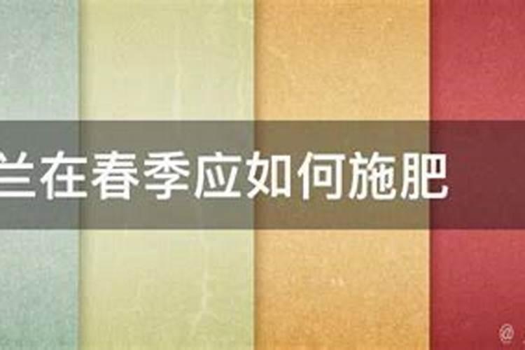 君子兰该如何施肥