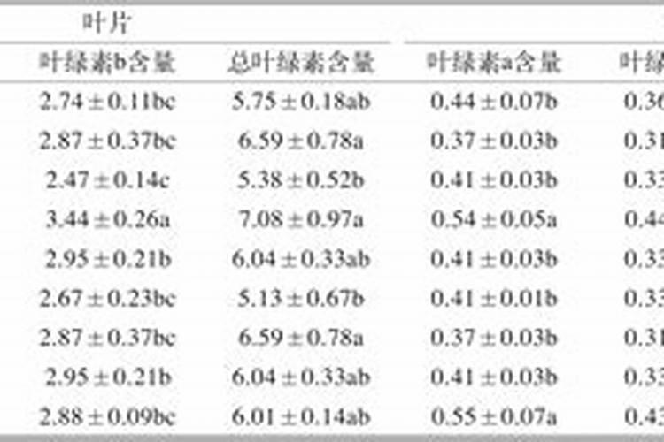 种植西瓜用什么肥料最佳