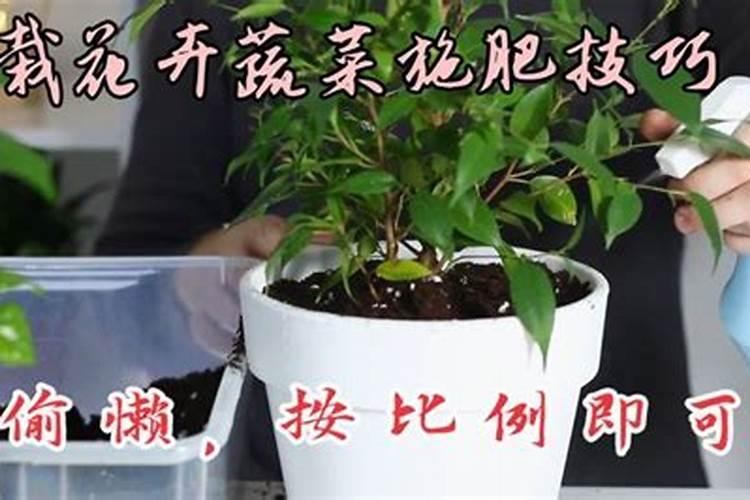 养花用肥顺口溜;施肥的顺口溜