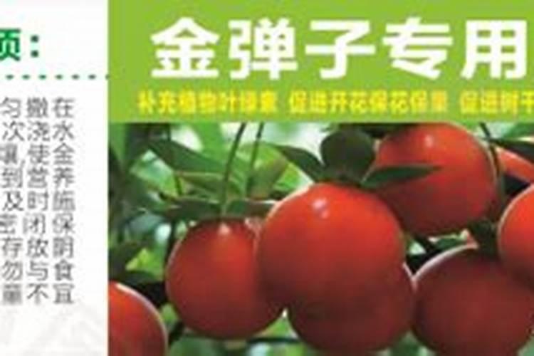 请问灭火器里面的粉有毒吗？？？
