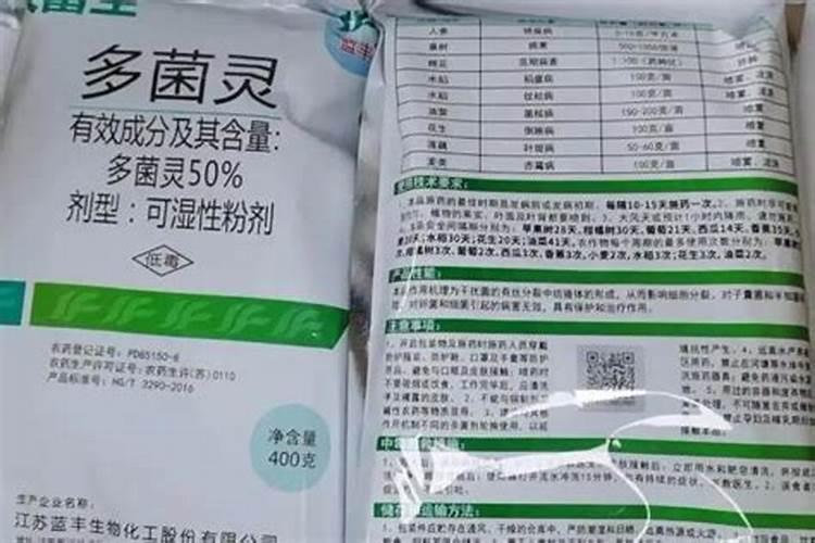 兰花养护最好的肥料