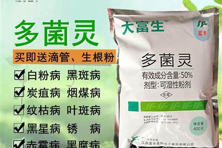 长寿花叶子发白用什么药是受病了吗