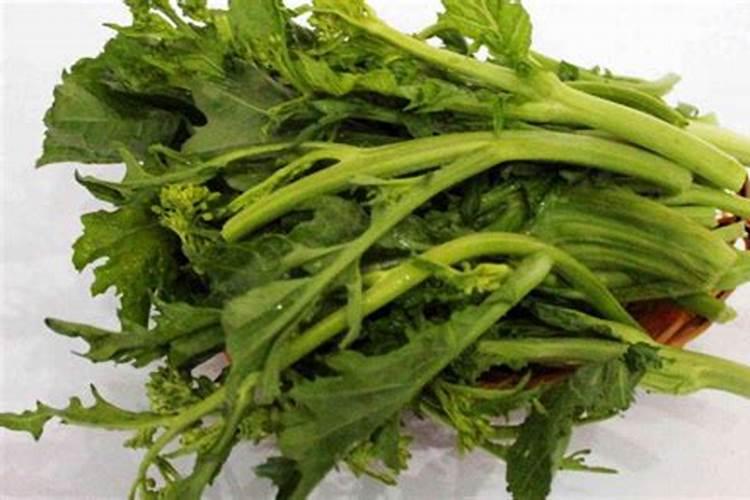 吲哚乙酸和芸苔素内酯区别？