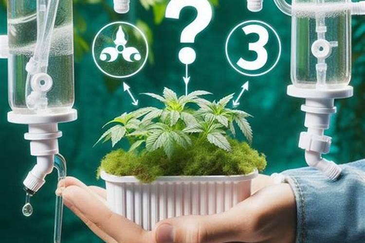 美国普利登鱼蛋白,这个有机肥怎么样。