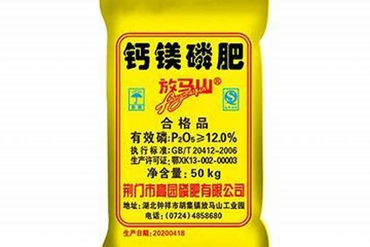 坚果摘果后施什么肥最好