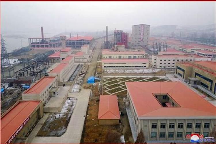 朝鲜的国花是什么花,金达莱(附养殖方法)