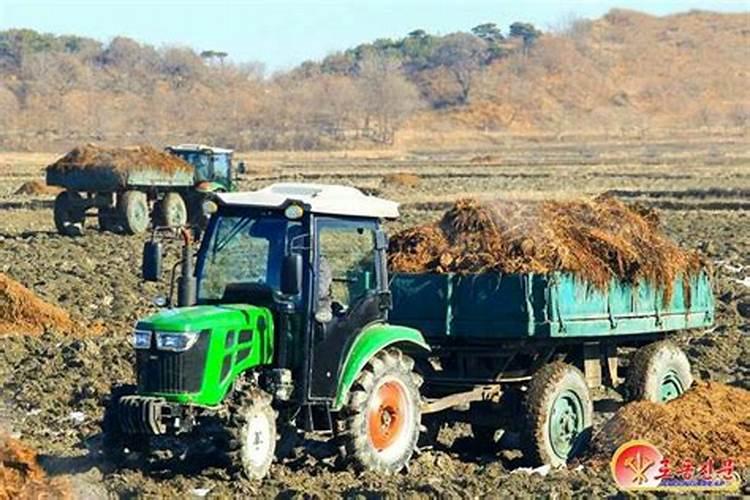 中国主要进口美国那几种农作物？