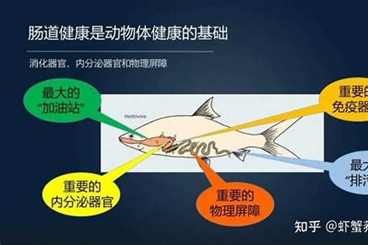 江西九江什么特产最出名