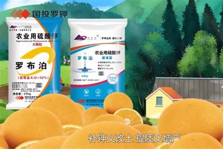 硫酸钾肥料适合种什么