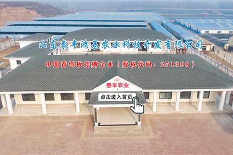 山东泰丰液压股份有限公司好吗？待遇福利如何？