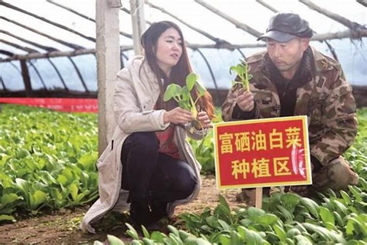 补充硒元素的叶面肥有哪些？