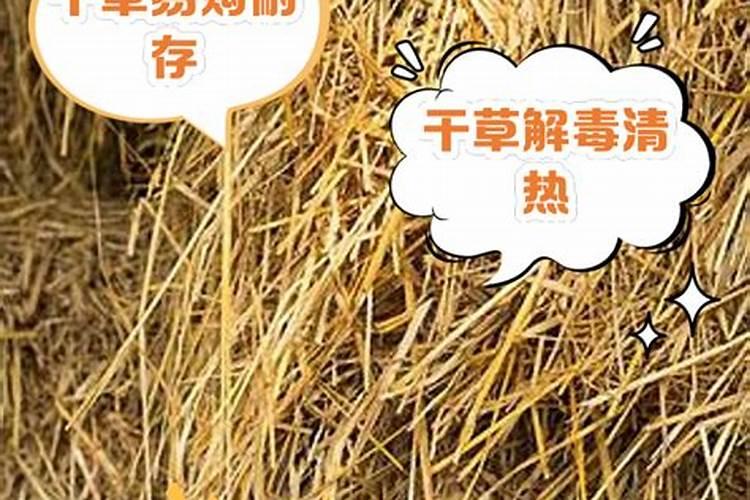 老农在除草时,为什么要往除草剂里添加尿素？