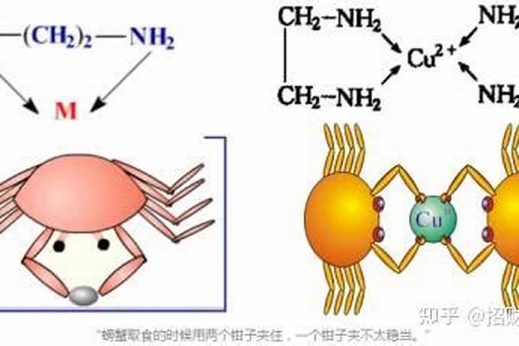 大量元素水溶肥的作用与功效 不同种类大量元素水溶肥料的用途百度知 ...