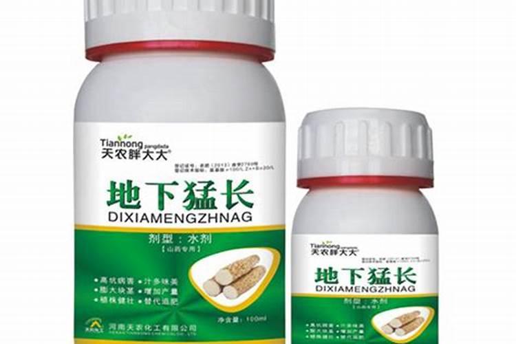 草莓不长用什么肥料