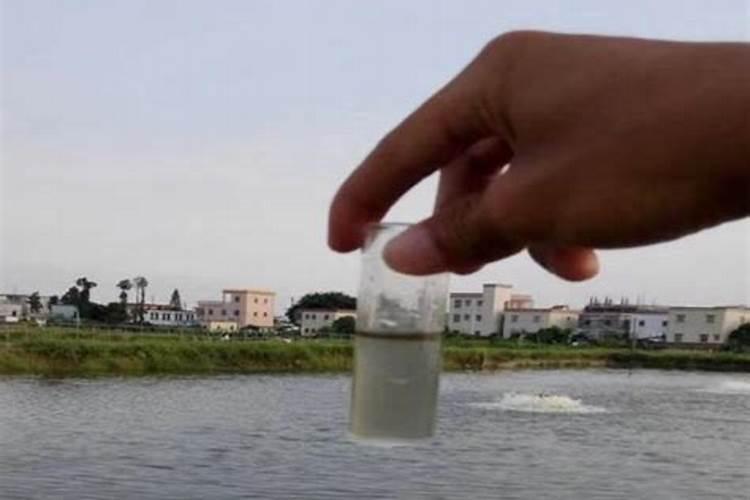 养对虾的水质调水方法