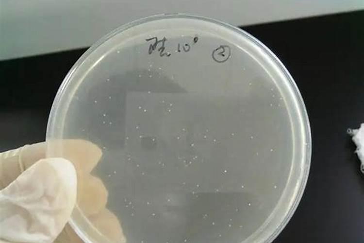 乳酸钾的应用领域