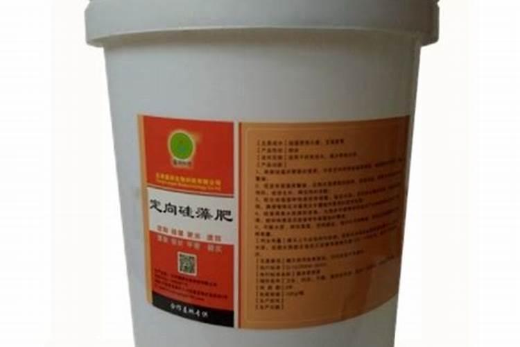 硅藻源能杀死青苔吗？