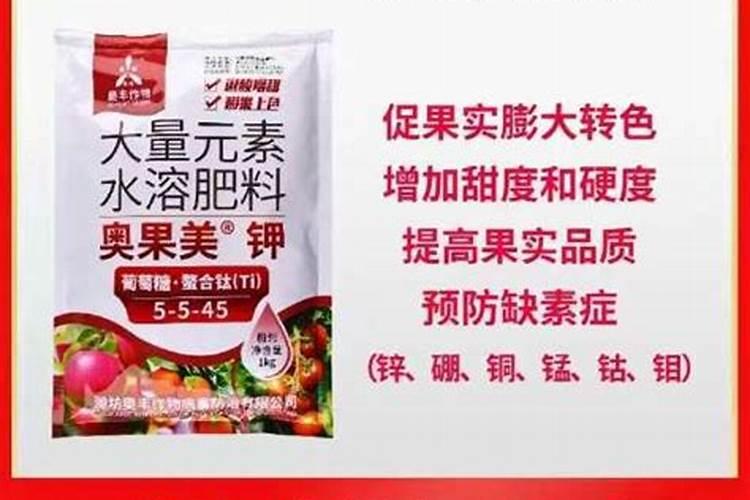 种瓜用什么肥料好？