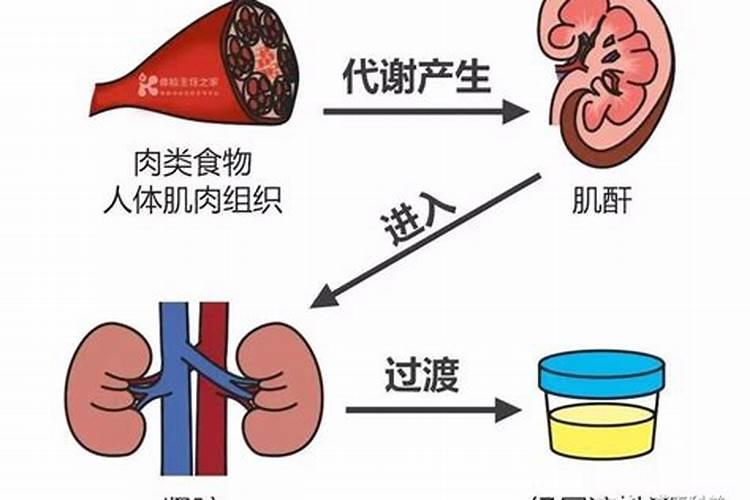人尿兑水可以直接浇花吗视频;人尿可以浇花吗