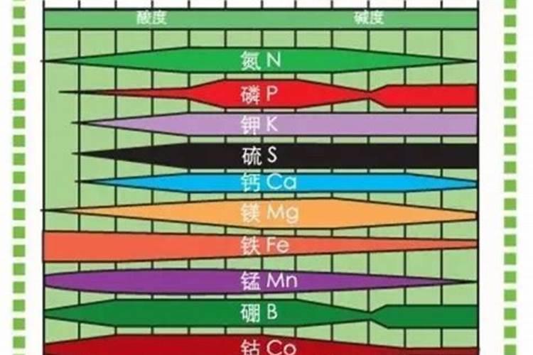 西兰花叶片上有白点,前几天喷过叶面肥,喷后发现有白点？(如图)