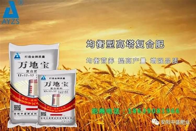 内蒙古敖汉旗特产:敖汉旗荞麦