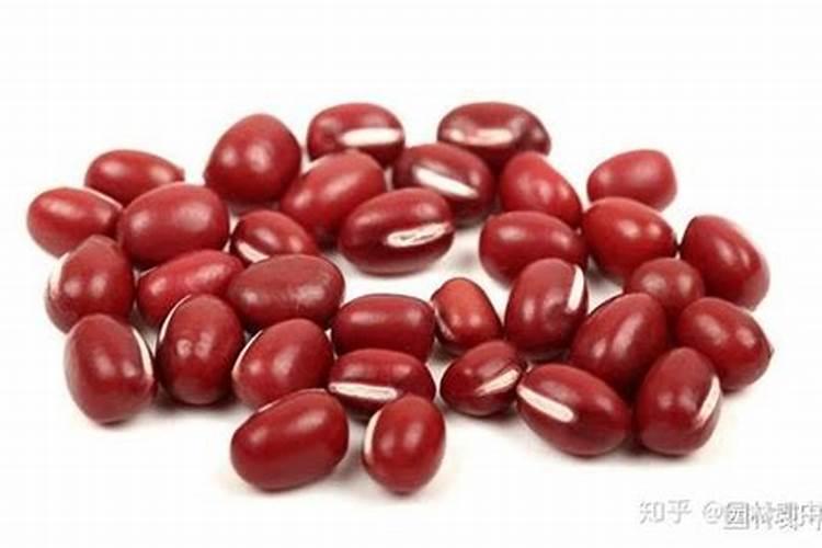 种完向日葵的地可以种红豆吗