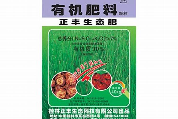 马蹄种植技巧