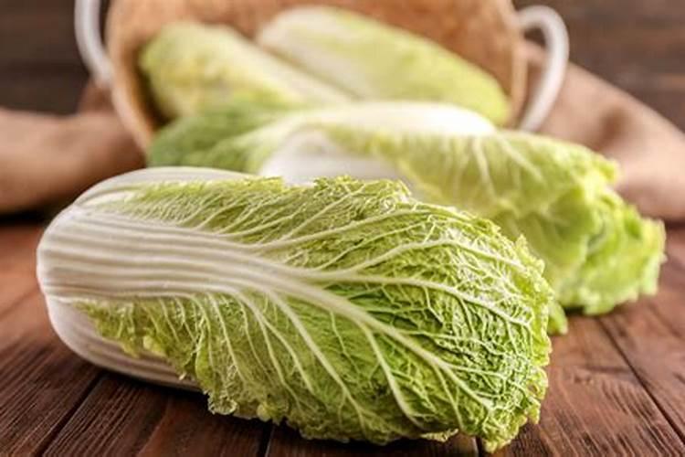 种白菜用什么肥料最好