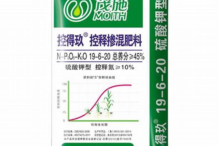 石斛炖汤的搭配