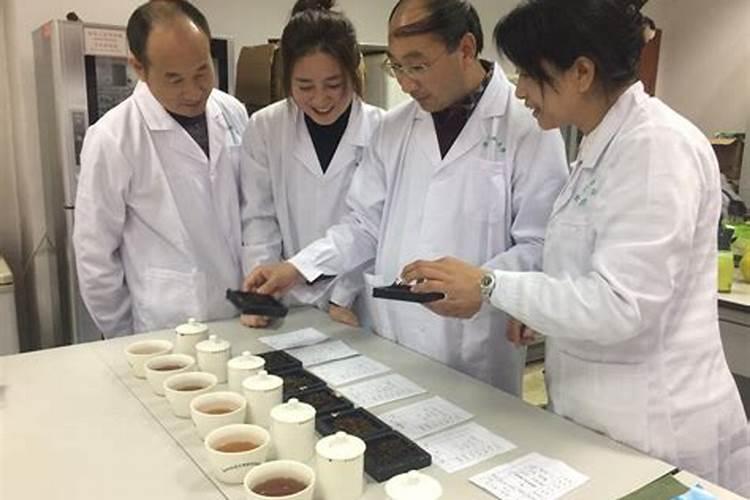 茶叶冬季专用肥氮磷钾比例是多少