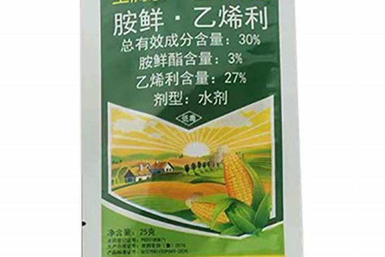 玉米控旺能和叶面肥一块打吗