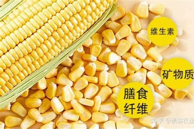 玉米除草剂能和叶面肥混用吗