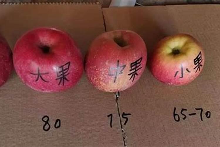 沙土地一亩用多少钾肥钾肥