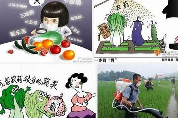 蔬菜用什么叶面肥好？