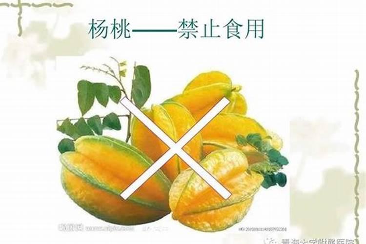 钾肥什么时候用