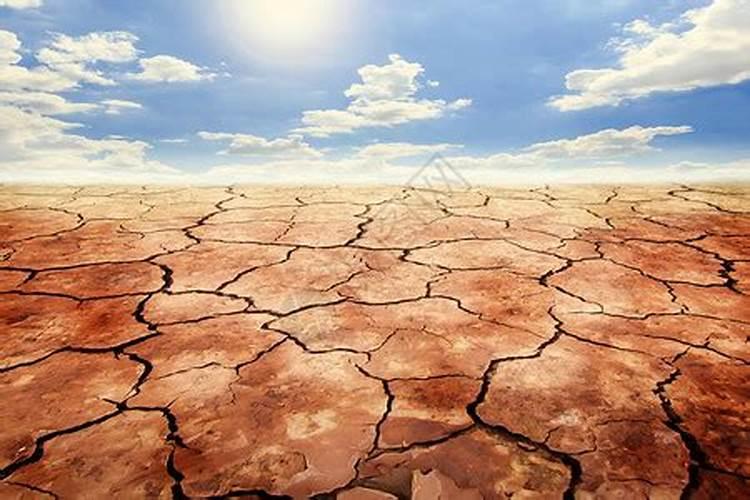 造成农村土地土壤板结的真正原因是什么？该如何解决这个问题？