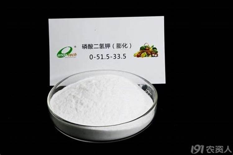 种植西红柿什么时候用磷酸二氢钾(可以起到什么作用)