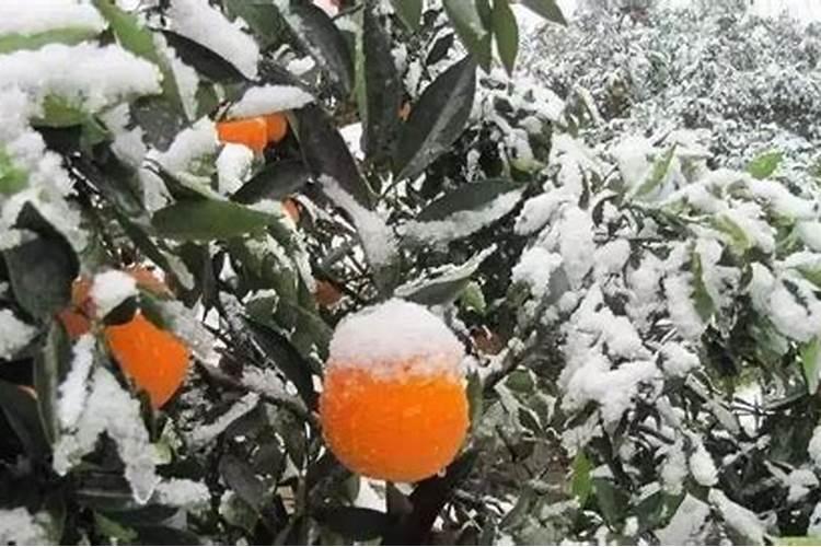 天达2116叶面肥的功效