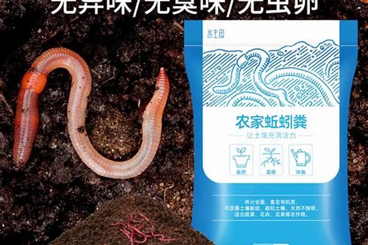 在阳台种菜最好的是用什么肥料
