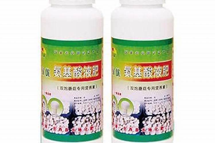 泥土墙种蘑菇怎么做的
