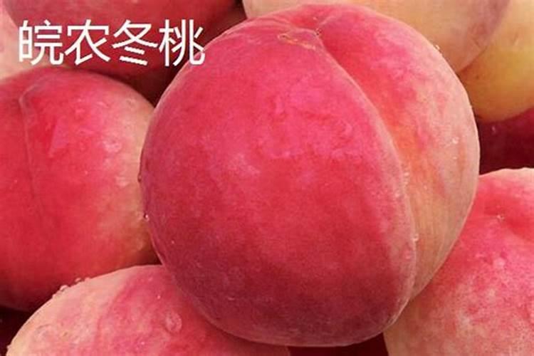 刺槐和花楸是一个品种吗？