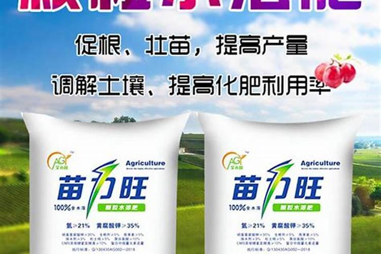 草莓多久施一次肥多久浇一次水