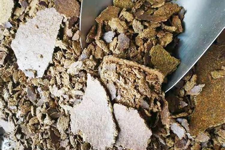 什么是“腐熟的豆饼水”？怎么做才能用来浇花呢？