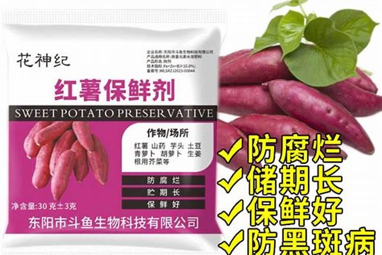 红薯施肥注意事项是什么