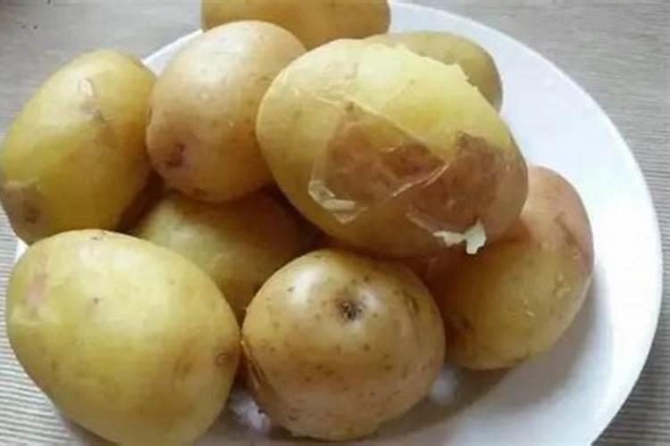 马铃薯怎么种植