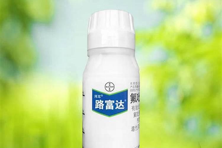 白菜出现根腐病应该如何防治？
