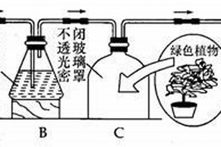 叶面肥可以打在露水上吗？