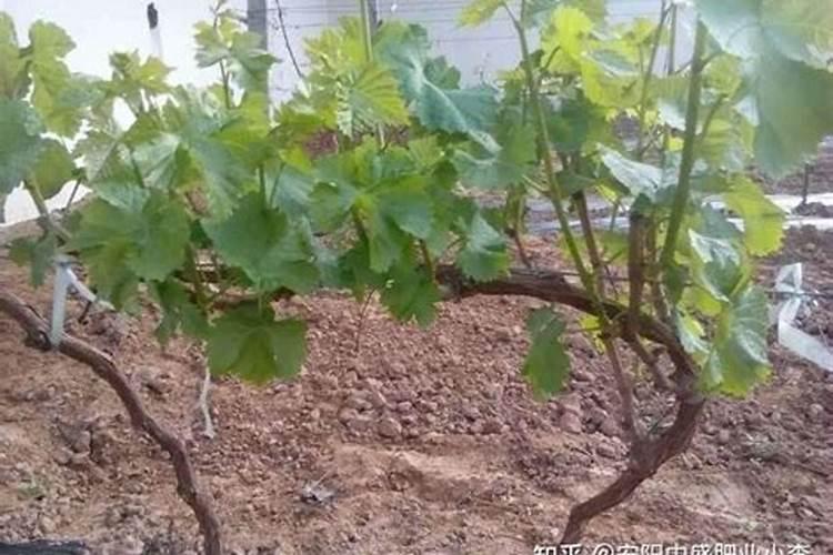 配料表钠多少算高